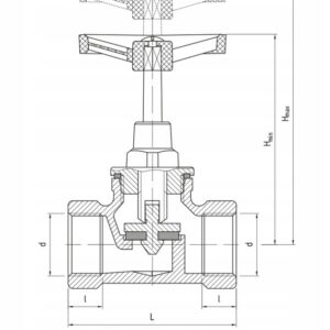 ZAWÓR GRZYBKOWY DN25 PRZELOTOWY SCHLOSSER- 1 CAL